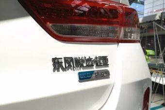 国产天天插,探索国产影视作品的创新与魅力