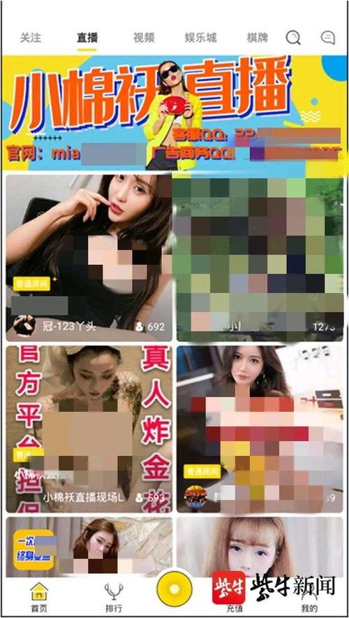 18禁成人APP直播,18禁APP背后的秘密与诱惑